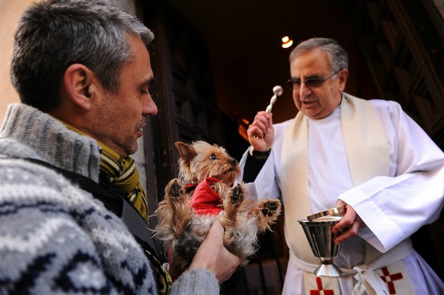 Мне вслед глядит душа кошачья... 4 октября - день памяти святого Франциска и Международный день животных