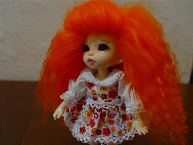 Приехала наконец-то моя Пукифи Анте (фото 5)