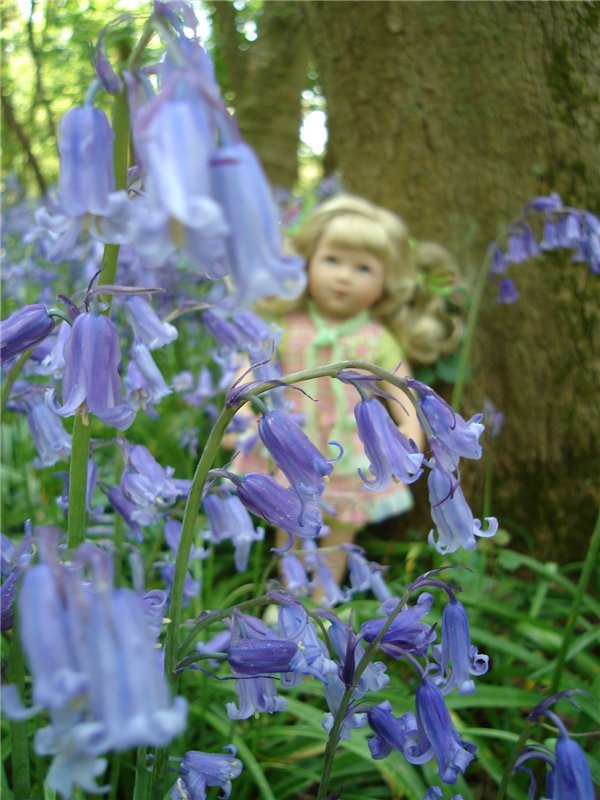 Лес голубых колокольчиков, поля наполненные солнцем и запахом меда