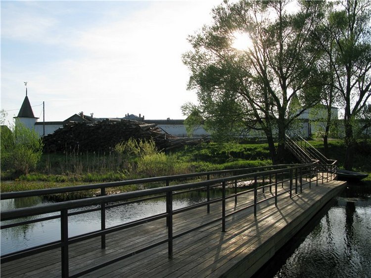 Прогулка с Райли. Riley от автора Helen Kish