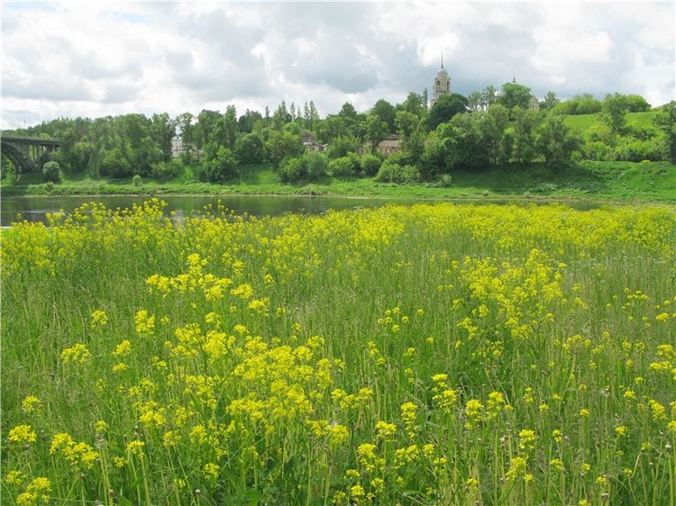 46-ой Пушкинский праздник поэзии в Берново. Часть вторая