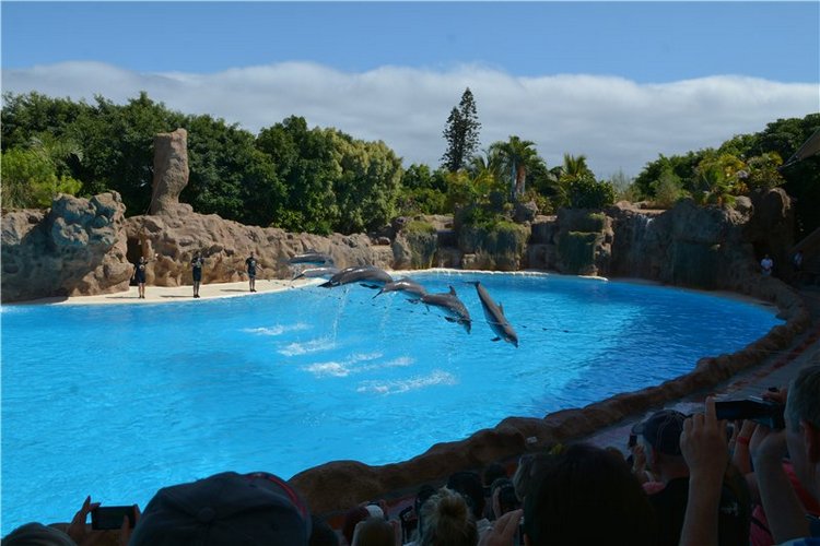 Испания. Тенерфе. Часть 2. Лоро парк