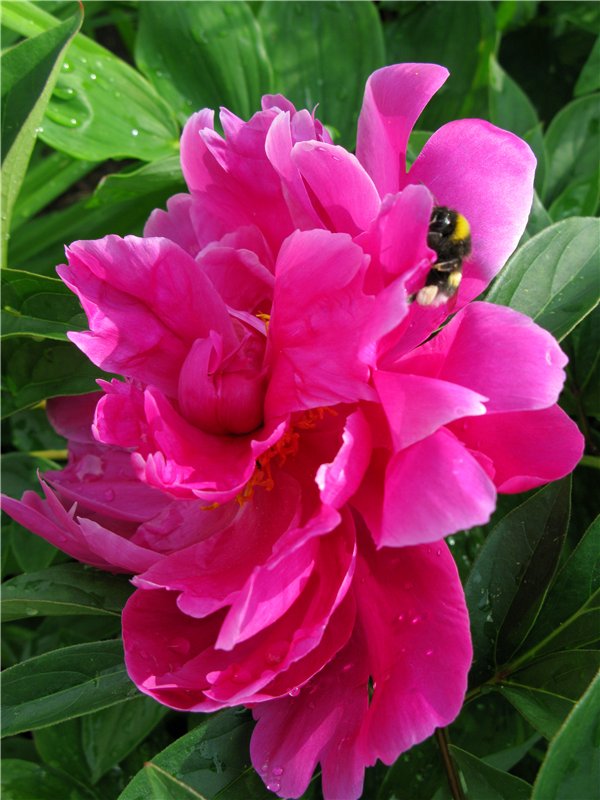 Кашин - город русского сердца. Часть седьмая. Вознесенский кафедральный собор