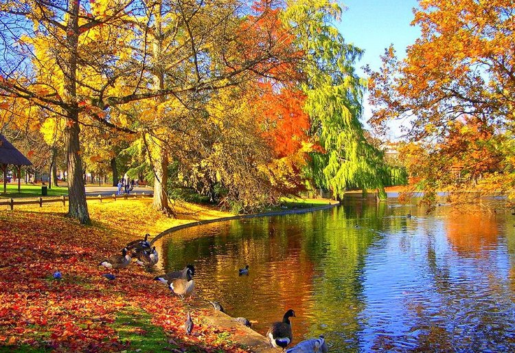 Красотка-осень — Болталка и разговоры обо всем: жизнь