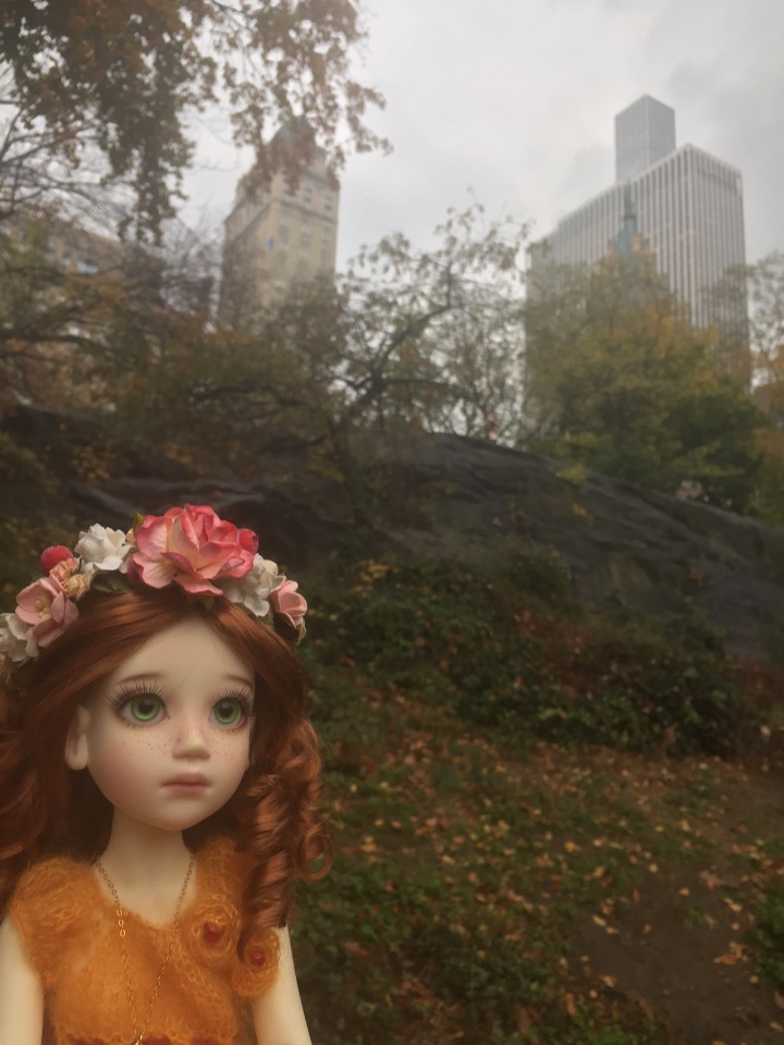 Луна гуляет в Центральном Парке в Манхаттане