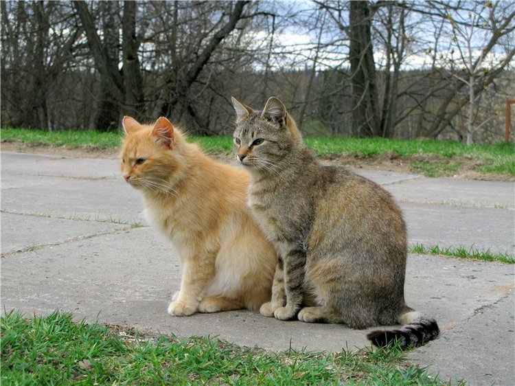 Майский день в Митино — Туризм и путешествия: фотоотчеты из поездок