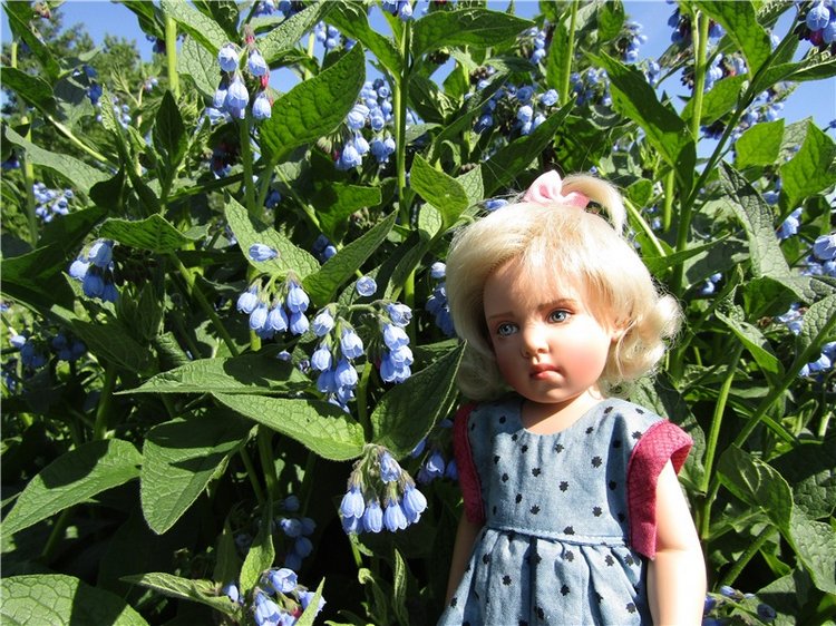 Сине-голубое настроение. Флора Helen Kish среди цветов в парке