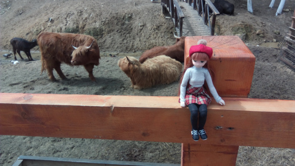 Тинка в экопарке — Куклы и тела Obitsu (Обитсу): 1/6 (фото 8)