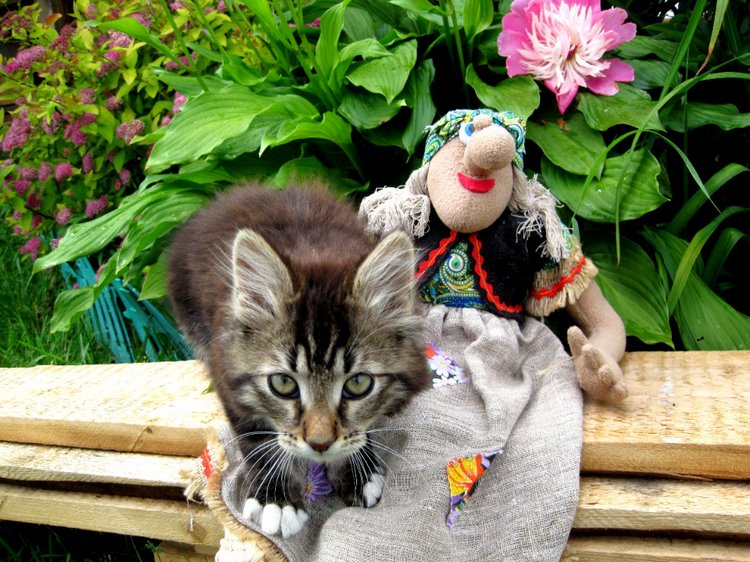 Бабушка из сказки — Коллекционные игрушки и фигурки: Lego