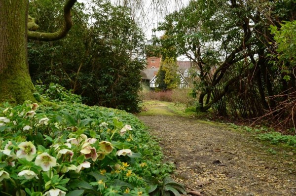 Зимнее солнце. Глава 10. Джаред из семьи Фоксов (фото 9)