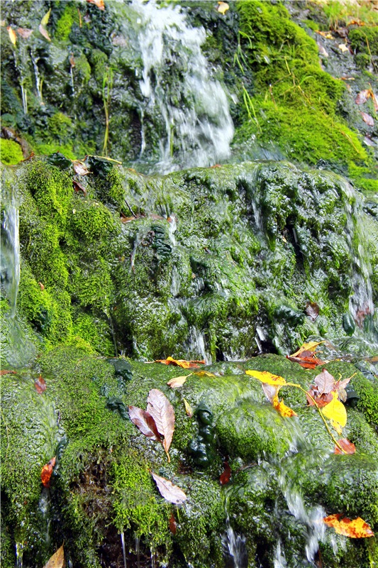 Тверской Водопад — Туризм и путешествия: фотоотчеты из поездок