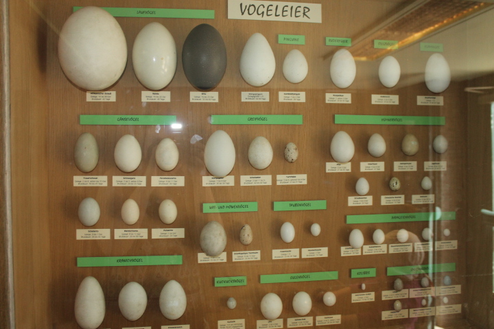 По Германии: зоопарк Лейпцига, часть 1