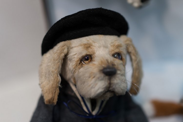 Выставка мишек Тедди "Hello Teddy" 2017 на Тишинке. Часть 2