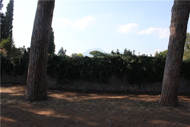 Помпеи и вулкан Везувий