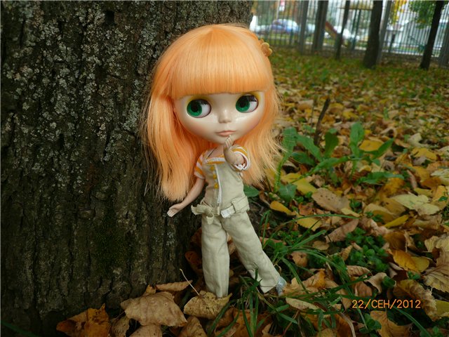 Мои Блайзочки — Оригинальные куклы Blythe (Блайз): Takara (фото 2)