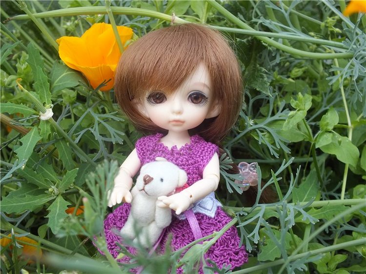 Моя сладкая и очень любимая Зойка.(PukiFee Zoe)