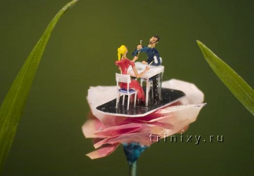 Миниатюрнее - миниатюрного. Шедевры Уилларда Уигана (Willard Wigan) самые миниатюрные скульптуры в мире