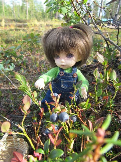 Как Майка за ягодами ходила. Кукла БЖД | Бэйбики Как Майка за ягодами ходила. Кукла БЖД (фото 10)