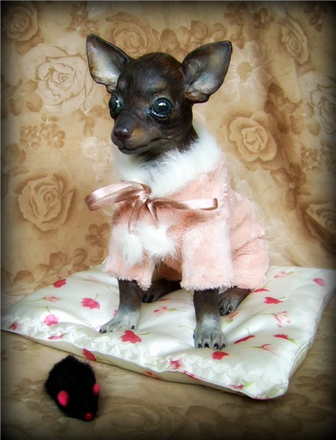 Подружка--той-терьер. ООАК Светланы Гришко