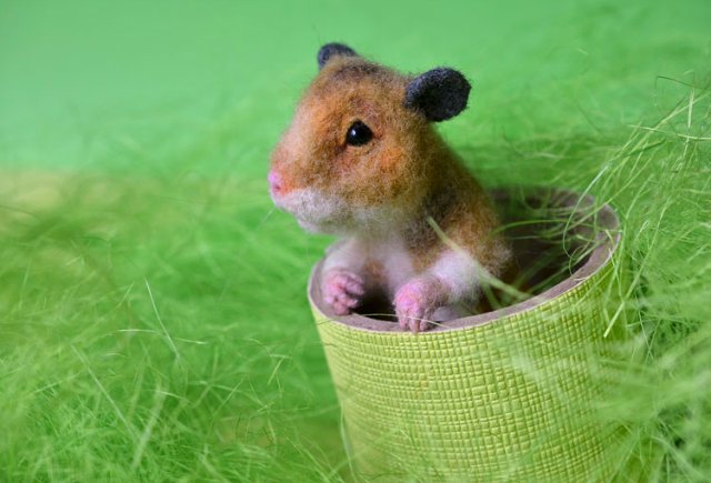 Комбо 11 hamster. Дикий хомяк. Хомяк дикий на даче. Дикий хомяк средней полосы.
