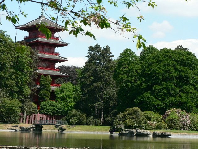 Весна. Цветы — Туризм и путешествия: фотоотчеты из поездок