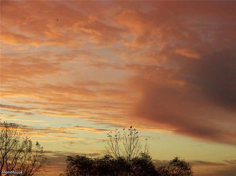 Очаровательные ангелы от Fayzah Spanos (фото 7)