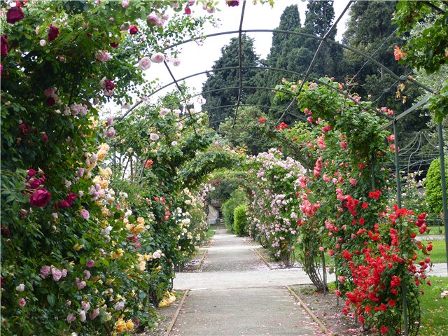 Мои фотозарисовки Лазурного берега Франции