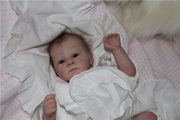 Любимый птенчик, кукла реборн Тейлор (фото 3)