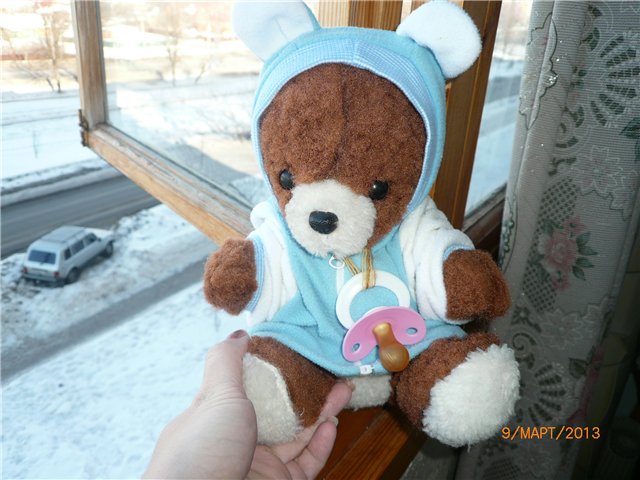 Мой Мишка приехал! Первые часы в любящей доме (фото 9)