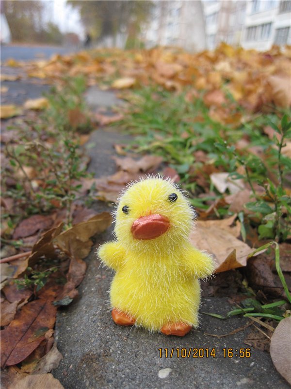 Дружок — Интересные игрушки и фигурки (разное): редкие (фото 2)