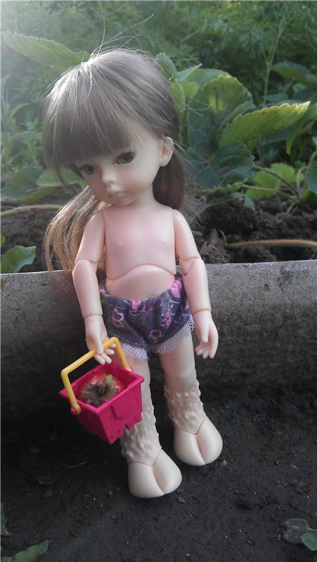 Немного лета в холода — Куклы Dollzone (Доллзон): BJD (БЖД)