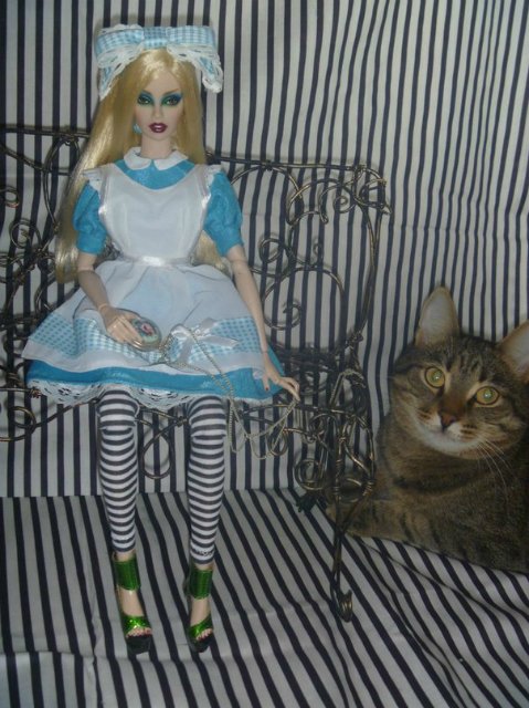 Моего кота не волнуют конкурсы, он просто любит фотографироваться