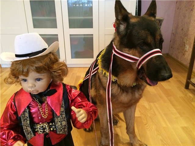 История любви, или К нам приехали цыгане