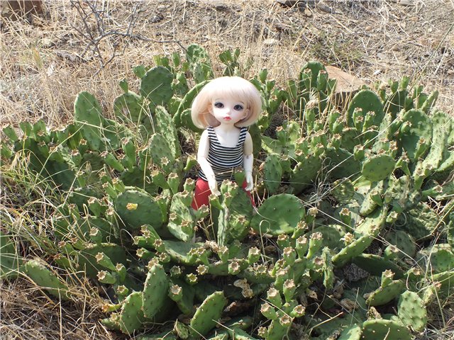 Крымские каникулы для Оливки | Бэйбики Крымские каникулы для Оливки (фото 8)