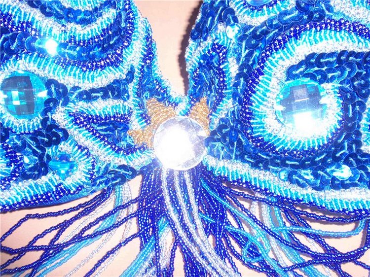 Восточный костюм — Другие хобби и увлечения: сад (фото 4)