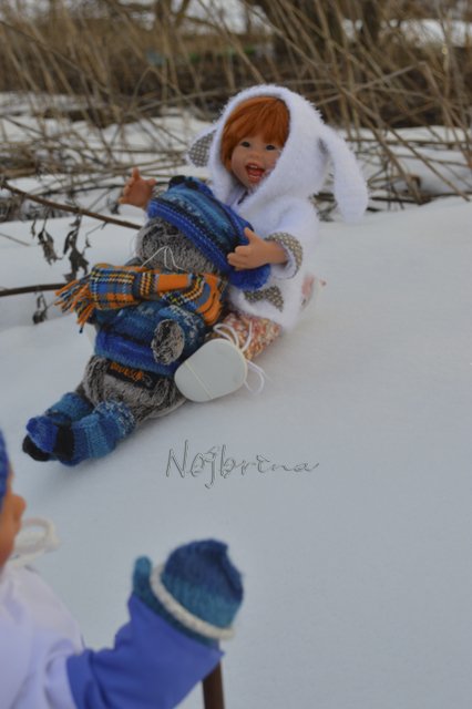 Двое в санках, не считая кота...Вихтели Rosemarie Anna Muller