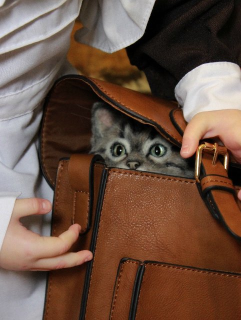 Первоклашка. Часть вторая. Куклы реборн Елены Ядриной