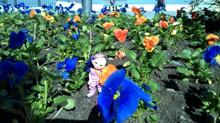 Кто живет в моей сумке — Куклы Fairyland (ФэйриЛэнд): BJD (БЖД)