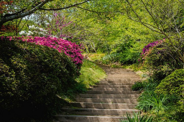 Япония моими глазами (часть 3. Китакюсю и Токио.) (фото 10)