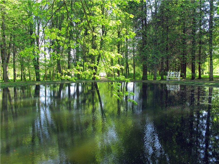 Субботний вояж. Заключительная часть