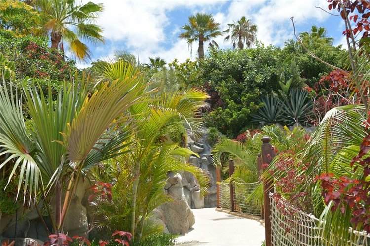 Испания. Тенерфе. Часть 3. Сиам парк (фото 10)