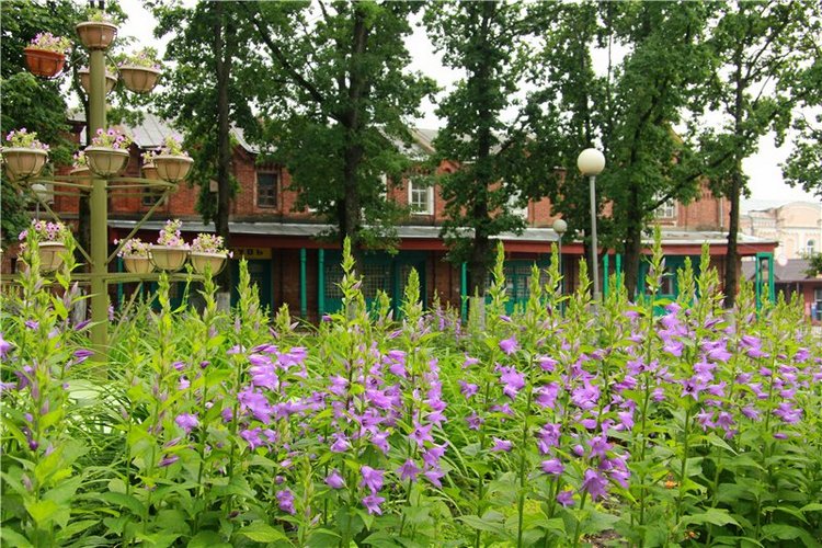 Кашин - город русского сердца. Заключительная часть. День города