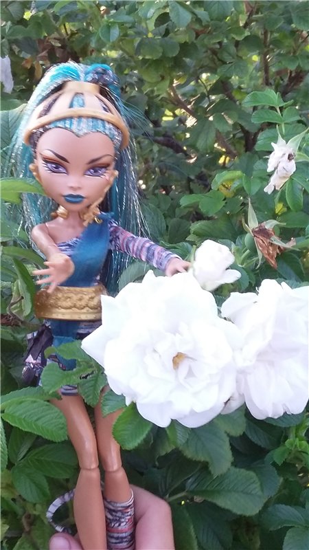 В гостях у бабушки ))) или яркое лето 2016 с девочками от Монстр Хай | Бэйбики В гостях у бабушки ))) или яркое лето 2016 с девочками от Монстр Хай (фото 9)