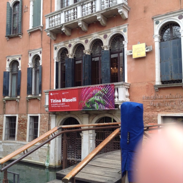 Приключения Минуш в Италии [Часть 2] Венеция -"Волшебный город на волнах, мечты высокой воплощенье"