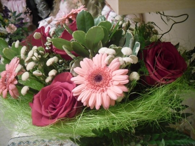 Девчонки и мальчишки, любимые мои