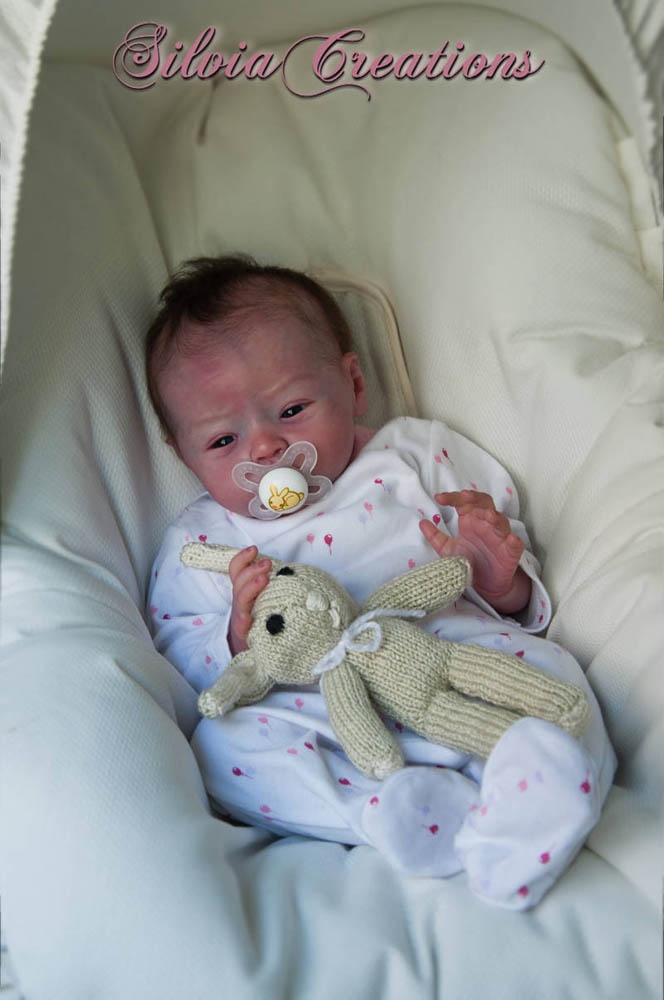 Новый молд Will от Натали Шолль