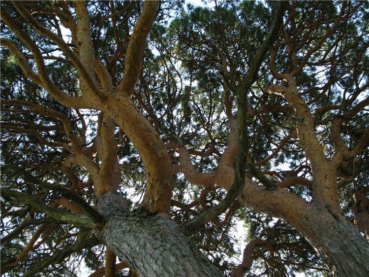 Субботний вояж. Часть первая