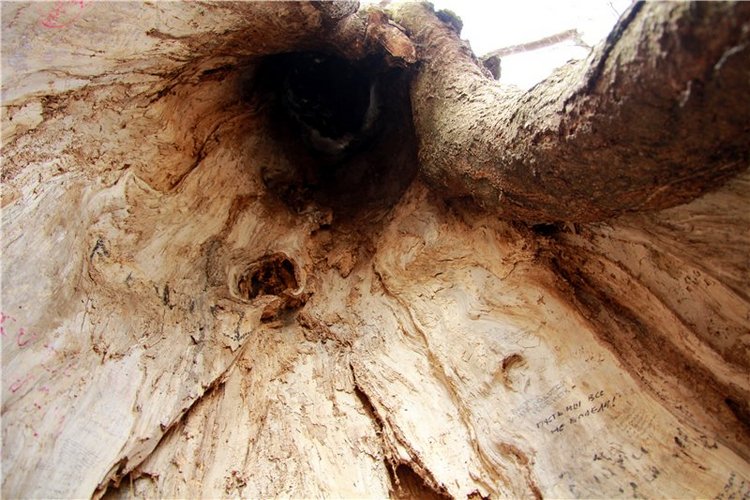 Сказочное Василёво. Реплика антикварной куклы Bébé BRU JNE от автора Branka Schärli