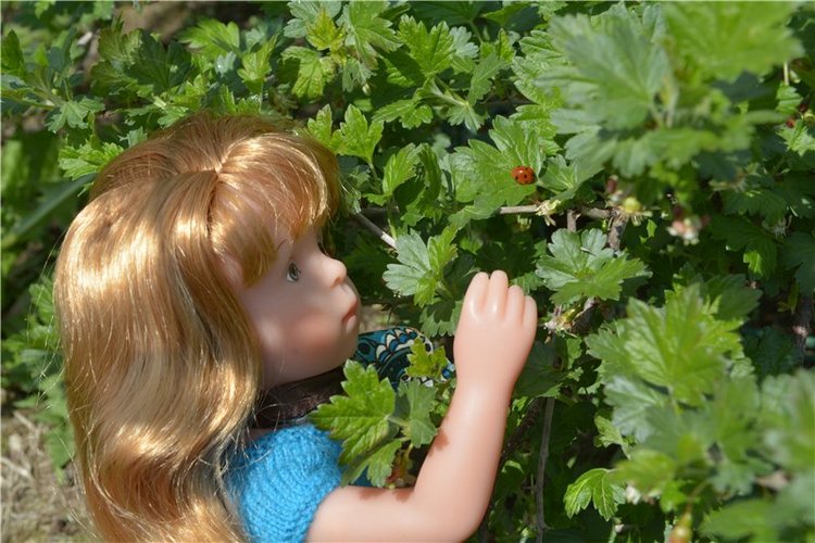 Во саду ли, в огороде — Куклы Sylvia Natterer (Сильвия Наттерер): Gotz