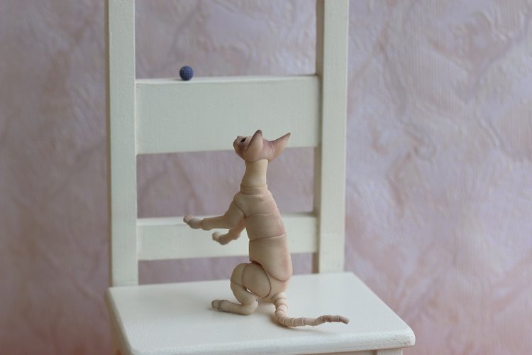 Кот играет с мячиком — Разные куклы BJD (БЖД): редкие бренды (фото 2)